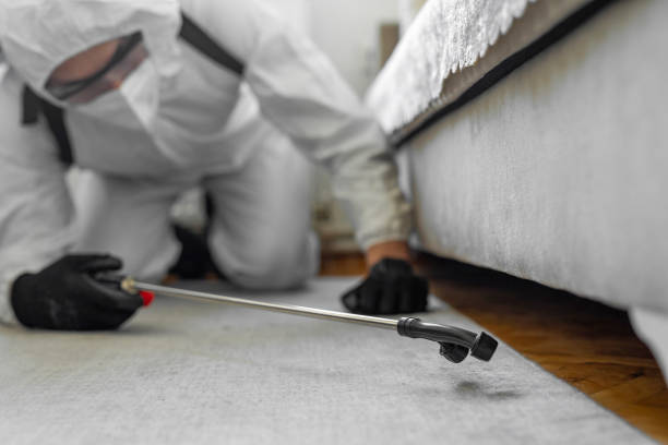 Professional Termite Control technician working in Hayti, MO